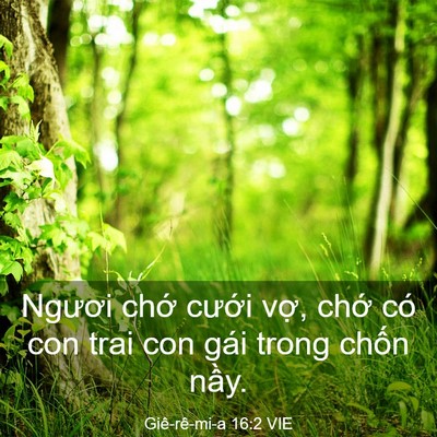 Picture 03 - Giê-rê-mi-a 16:2 VIE - Ngươi chớ cưới vợ, chớ có con trai - Bible Verse Picture