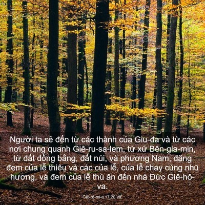Picture 03 - Giê-rê-mi-a 17:26 VIE - Người ta sẽ đến từ các thành của - Bible Verse Picture