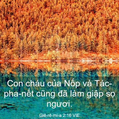 Picture 03 - Giê-rê-mi-a 2:16 VIE - Con cháu của Nốp và Tác-pha-nết cũng - Bible Verse Picture
