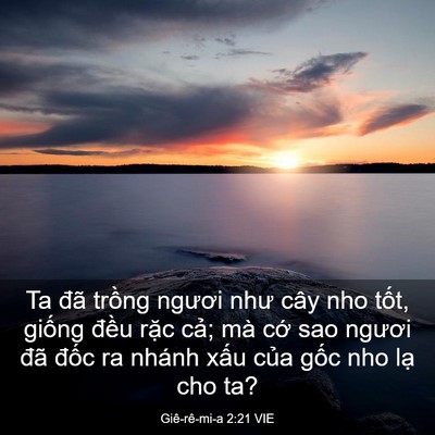 Picture 03 - Giê-rê-mi-a 2:21 VIE - Ta đã trồng ngươi như cây nho tốt, - Bible Verse Picture