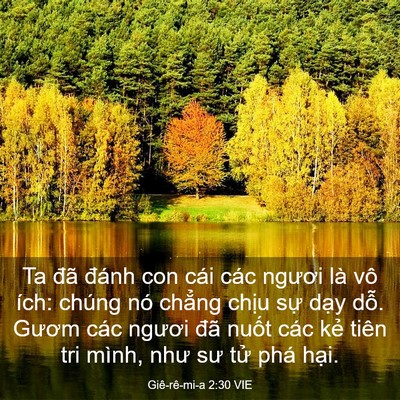 Picture 03 - Giê-rê-mi-a 2:30 VIE - Ta đã đánh con cái các ngươi là vô - Bible Verse Picture