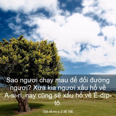 Picture 03 - Giê-rê-mi-a 2:36 VIE - Sao ngươi chạy mau để đổi đường - Bible Verse Picture