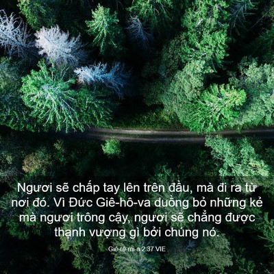 Picture 03 - Giê-rê-mi-a 2:37 VIE - Ngươi sẽ chấp tay lên trên đầu, mà - Bible Verse Picture