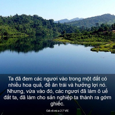 Picture 03 - Giê-rê-mi-a 2:7 VIE - Ta đã đem các ngươi vào trong một đất - Bible Verse Picture
