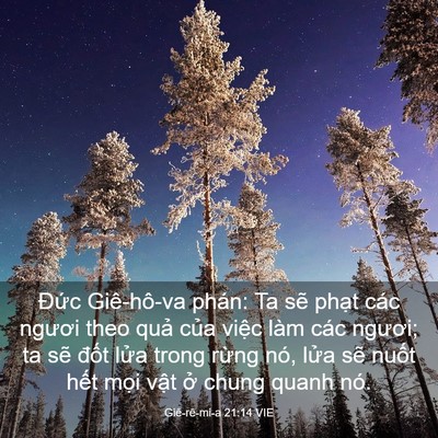 Picture 03 - Giê-rê-mi-a 21:14 VIE - Đức Giê-hô-va phán: Ta sẽ phạt các - Bible Verse Picture