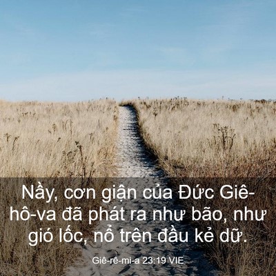 Picture 03 - Giê-rê-mi-a 23:19 VIE - Nầy, cơn giận của Đức Giê-hô-va đã - Bible Verse Picture