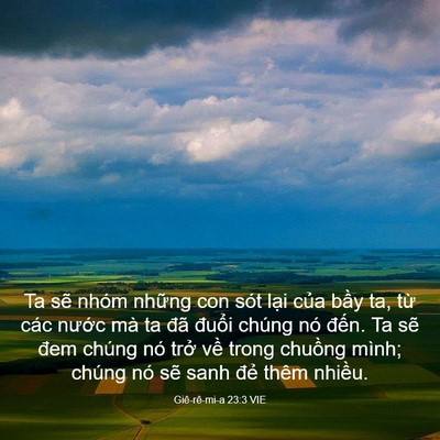 Picture 03 - Giê-rê-mi-a 23:3 VIE - Ta sẽ nhóm những con sót lại của bầy - Bible Verse Picture