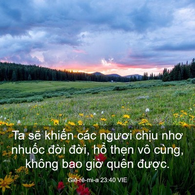 Picture 03 - Giê-rê-mi-a 23:40 VIE - Ta sẽ khiến các ngươi chịu nhơ nhuốc - Bible Verse Picture
