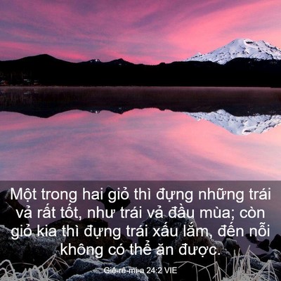 Picture 03 - Giê-rê-mi-a 24:2 VIE - Một trong hai giỏ thì đựng những trái - Bible Verse Picture