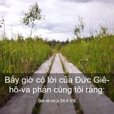 Picture 03 - Giê-rê-mi-a 24:4 VIE - Bấy giờ có lời của Đức Giê-hô-va - Bible Verse Picture
