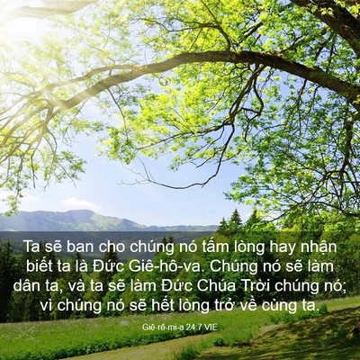 Picture 03 - Giê-rê-mi-a 24:7 VIE - Ta sẽ ban cho chúng nó tấm lòng hay nhận - Bible Verse Picture