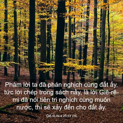 Picture 03 - Giê-rê-mi-a 25:13 VIE - Phàm lời ta đã phán nghịch cùng đất - Bible Verse Picture