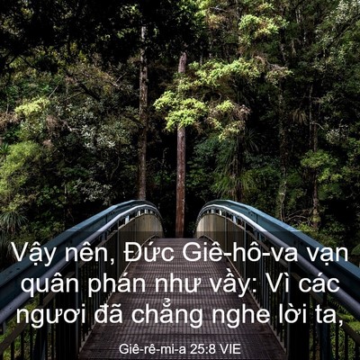Picture 03 - Giê-rê-mi-a 25:8 VIE - Vậy nên, Đức Giê-hô-va vạn quân phán - Bible Verse Picture