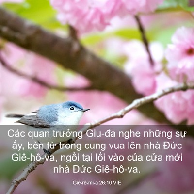 Picture 03 - Giê-rê-mi-a 26:10 VIE - Các quan trưởng Giu-đa nghe những sự - Bible Verse Picture