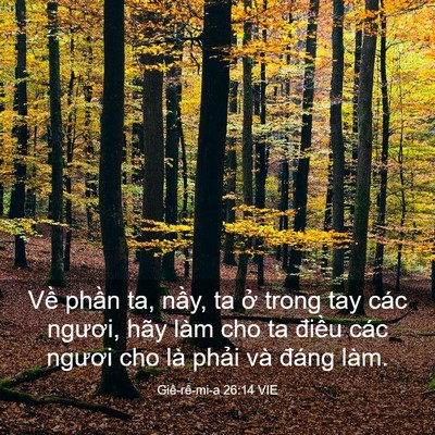 Picture 03 - Giê-rê-mi-a 26:14 VIE - Về phần ta, nầy, ta ở trong tay các - Bible Verse Picture