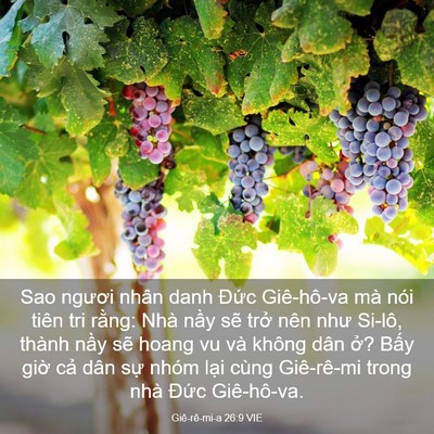 Picture 03 - Giê-rê-mi-a 26:9 VIE - Sao ngươi nhân danh Đức Giê-hô-va mà - Bible Verse Picture