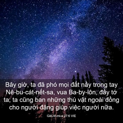 Picture 03 - Giê-rê-mi-a 27:6 VIE - Bây giờ, ta đã phó mọi đất nầy trong - Bible Verse Picture