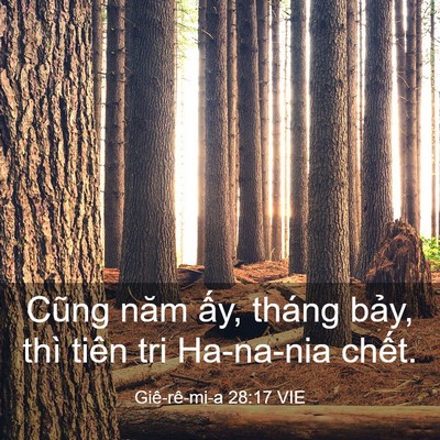 Picture 03 - Giê-rê-mi-a 28:17 VIE - Cũng năm ấy, tháng bảy, thì tiên tri - Bible Verse Picture