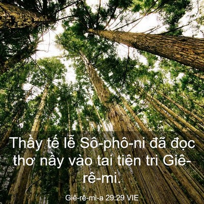 Picture 03 - Giê-rê-mi-a 29:29 VIE - Thầy tế lễ Sô-phô-ni đã đọc thơ - Bible Verse Picture