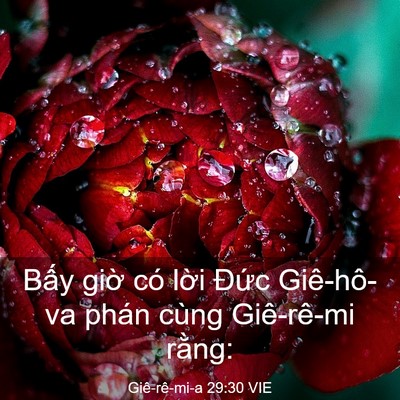 Picture 03 - Giê-rê-mi-a 29:30 VIE - Bấy giờ có lời Đức Giê-hô-va phán - Bible Verse Picture