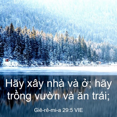 Picture 03 - Giê-rê-mi-a 29:5 VIE - Hãy xây nhà và ở; hãy trồng vườn và - Bible Verse Picture