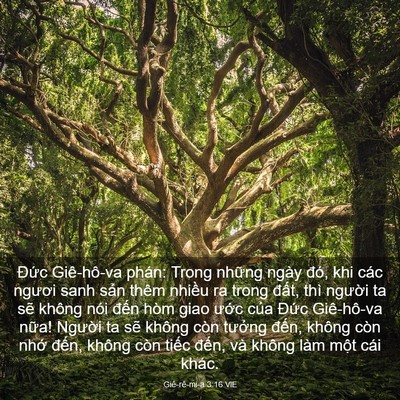 Picture 03 - Giê-rê-mi-a 3:16 VIE - Đức Giê-hô-va phán: Trong những ngày - Bible Verse Picture