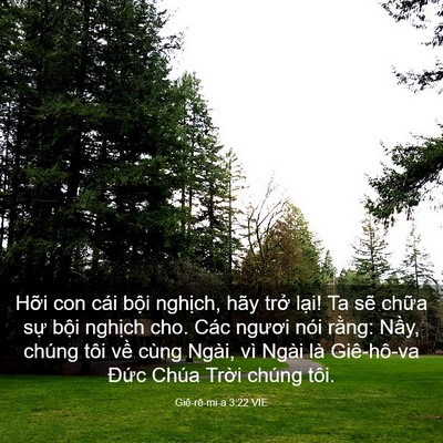 Picture 03 - Giê-rê-mi-a 3:22 VIE - Hỡi con cái bội nghịch, hãy trở lại! - Bible Verse Picture