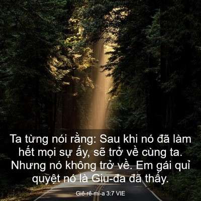 Picture 03 - Giê-rê-mi-a 3:7 VIE - Ta từng nói rằng: Sau khi nó đã làm - Bible Verse Picture