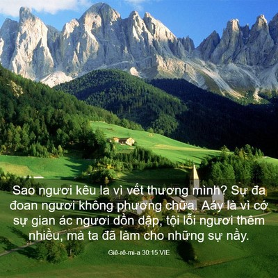 Picture 03 - Giê-rê-mi-a 30:15 VIE - Sao ngươi kêu la vì vết thương mình? - Bible Verse Picture