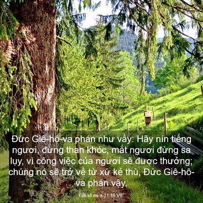 Picture 03 - Giê-rê-mi-a 31:16 VIE - Đức Giê-hô-va phán như vầy: Hãy nín - Bible Verse Picture