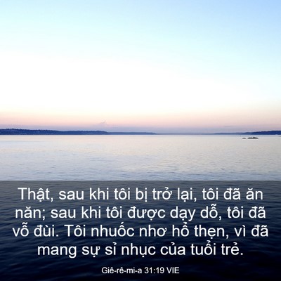 Picture 03 - Giê-rê-mi-a 31:19 VIE - Thật, sau khi tôi bị trở lại, tôi đã - Bible Verse Picture