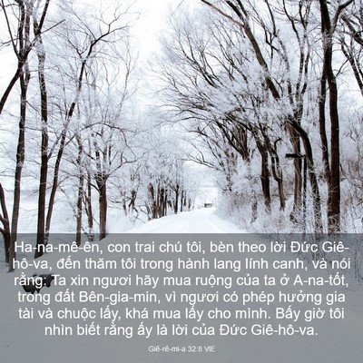 Picture 03 - Giê-rê-mi-a 32:8 VIE - Ha-na-mê-ên, con trai chú tôi, bèn theo - Bible Verse Picture