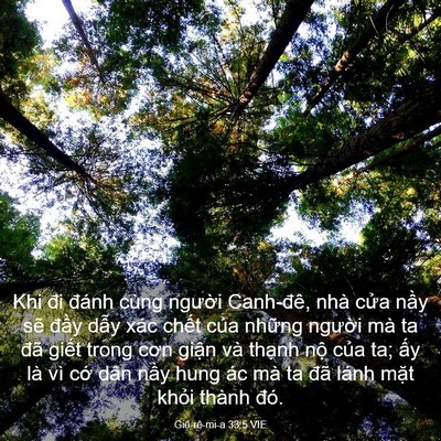 Picture 03 - Giê-rê-mi-a 33:5 VIE - Khi đi đánh cùng người Canh-đê, nhà - Bible Verse Picture
