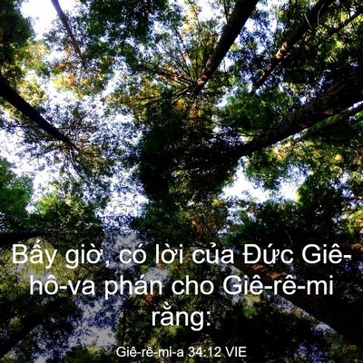 Picture 03 - Giê-rê-mi-a 34:12 VIE - Bấy giờ, có lời của Đức Giê-hô-va - Bible Verse Picture