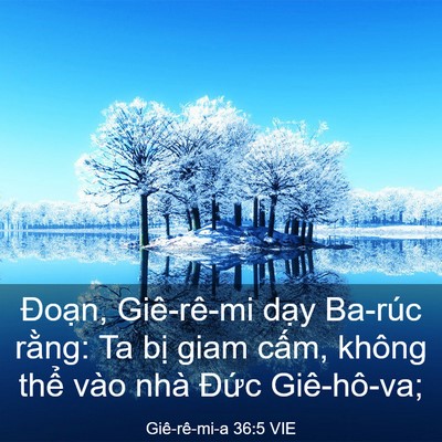 Picture 03 - Giê-rê-mi-a 36:5 VIE - Đoạn, Giê-rê-mi dạy Ba-rúc rằng: Ta - Bible Verse Picture