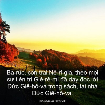 Picture 03 - Giê-rê-mi-a 36:8 VIE - Ba-rúc, con trai Nê-ri-gia, theo mọi sự - Bible Verse Picture