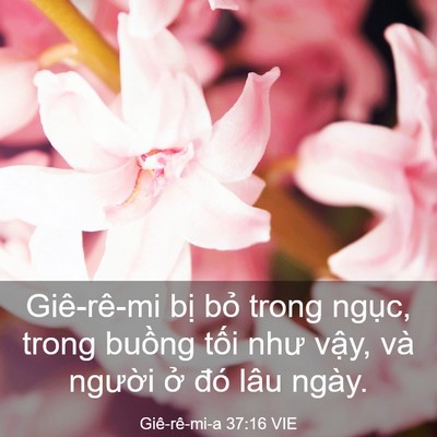 Picture 03 - Giê-rê-mi-a 37:16 VIE - Giê-rê-mi bị bỏ trong ngục, trong buồng - Bible Verse Picture