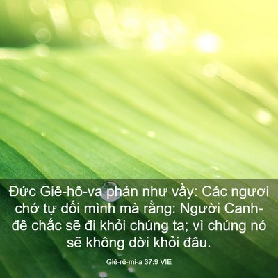 Picture 03 - Giê-rê-mi-a 37:9 VIE - Đức Giê-hô-va phán như vầy: Các ngươi - Bible Verse Picture