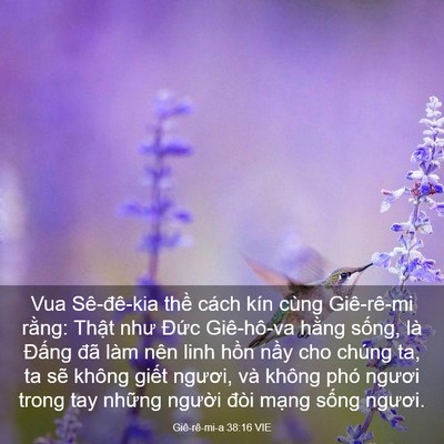 Picture 03 - Giê-rê-mi-a 38:16 VIE - Vua Sê-đê-kia thề cách kín cùng - Bible Verse Picture