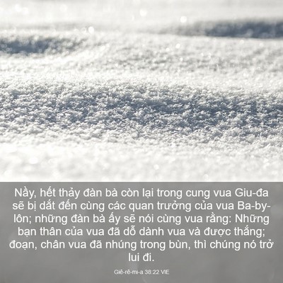 Picture 03 - Giê-rê-mi-a 38:22 VIE - Nầy, hết thảy đàn bà còn lại trong - Bible Verse Picture