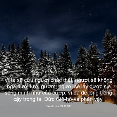 Picture 03 - Giê-rê-mi-a 39:18 VIE - Vì ta sẽ cứu ngươi chắc thật, ngươi - Bible Verse Picture