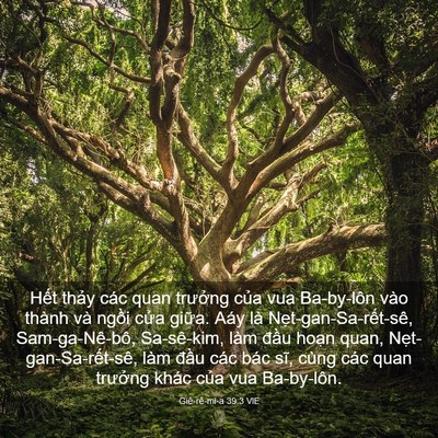 Picture 03 - Giê-rê-mi-a 39:3 VIE - Hết thảy các quan trưởng của vua - Bible Verse Picture