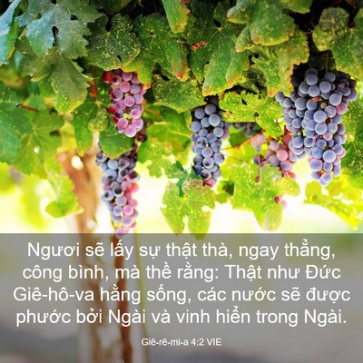 Picture 03 - Giê-rê-mi-a 4:2 VIE - Ngươi sẽ lấy sự thật thà, ngay - Bible Verse Picture