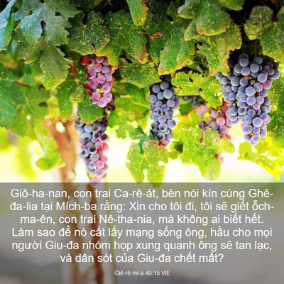 Picture 03 - Giê-rê-mi-a 40:15 VIE - Giô-ha-nan, con trai Ca-rê-át, bèn nói kín - Bible Verse Picture