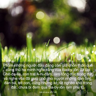 Picture 03 - Giê-rê-mi-a 40:7 VIE - Phàm những người đầu đảng còn giữ - Bible Verse Picture