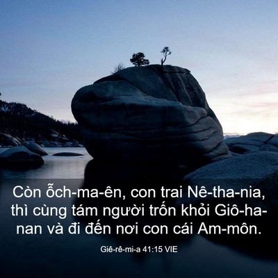 Picture 03 - Giê-rê-mi-a 41:15 VIE - Còn ỗch-ma-ên, con trai Nê-tha-nia, thì - Bible Verse Picture