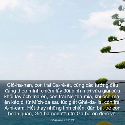 Picture 03 - Giê-rê-mi-a 41:16 VIE - Giô-ha-nan, con trai Ca-rê-át, cùng các - Bible Verse Picture