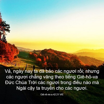 Picture 03 - Giê-rê-mi-a 42:21 VIE - Vả, ngày nay ta đã bảo các ngươi rồi; - Bible Verse Picture