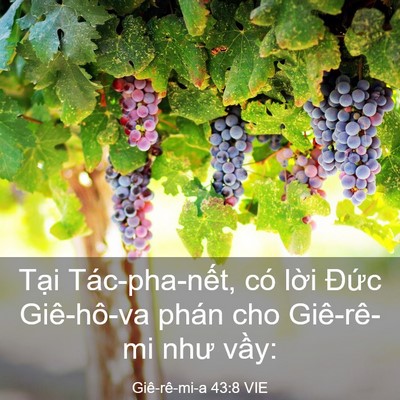 Picture 03 - Giê-rê-mi-a 43:8 VIE - Tại Tác-pha-nết, có lời Đức - Bible Verse Picture