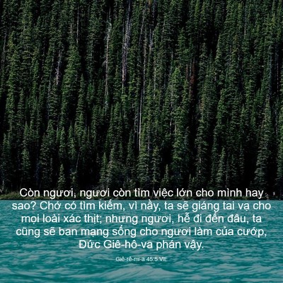 Picture 03 - Giê-rê-mi-a 45:5 VIE - Còn ngươi, ngươi còn tìm việc lớn cho - Bible Verse Picture